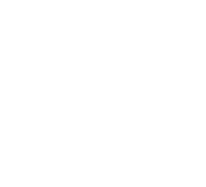 Diamond Developers